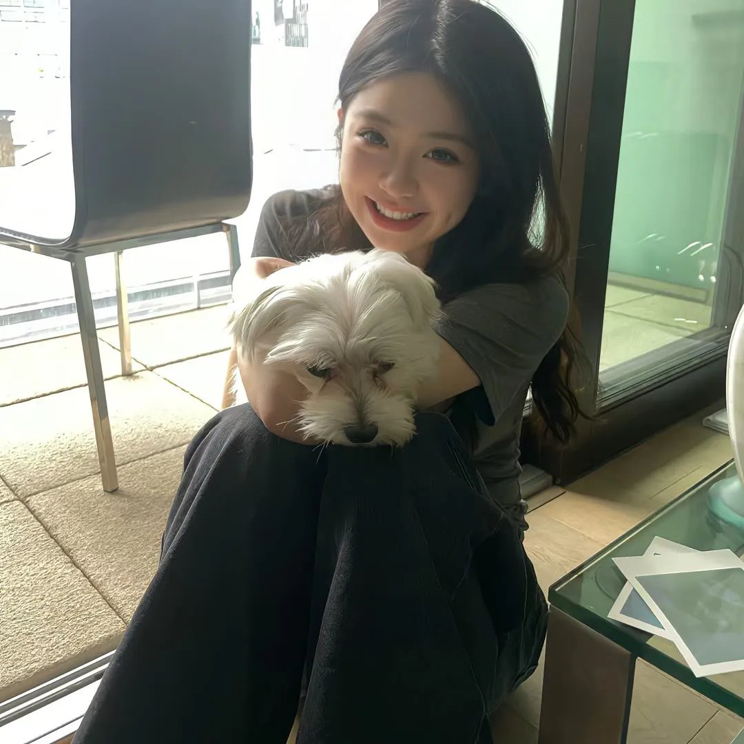 人咬狗 在线观看